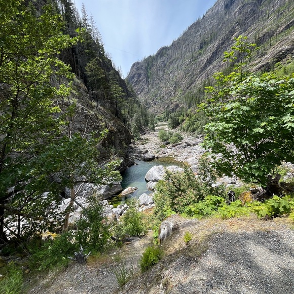 Hello and Closet Info :) - Picture 7 of 7